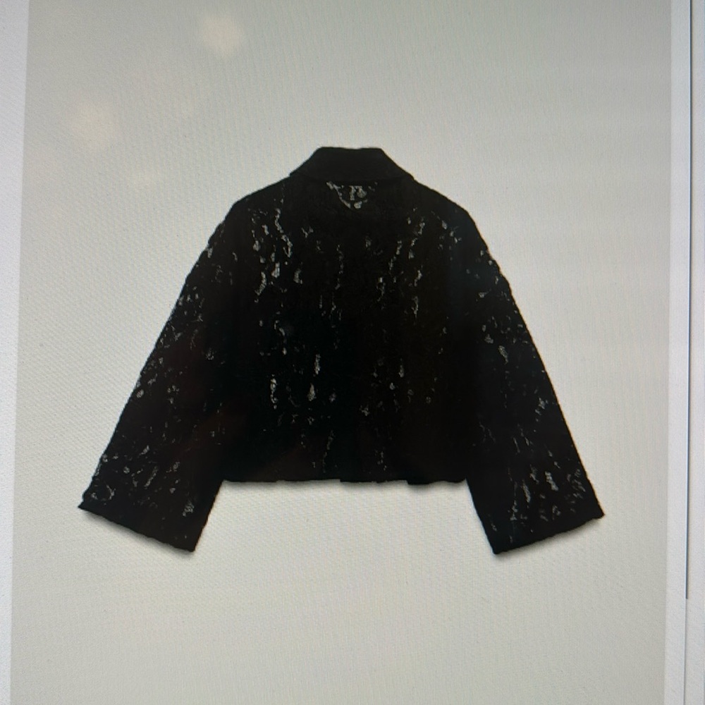 Zara Lace crop shirt